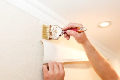 Pose de papier peint à Dumes — revêtements muraux et toiles de verre